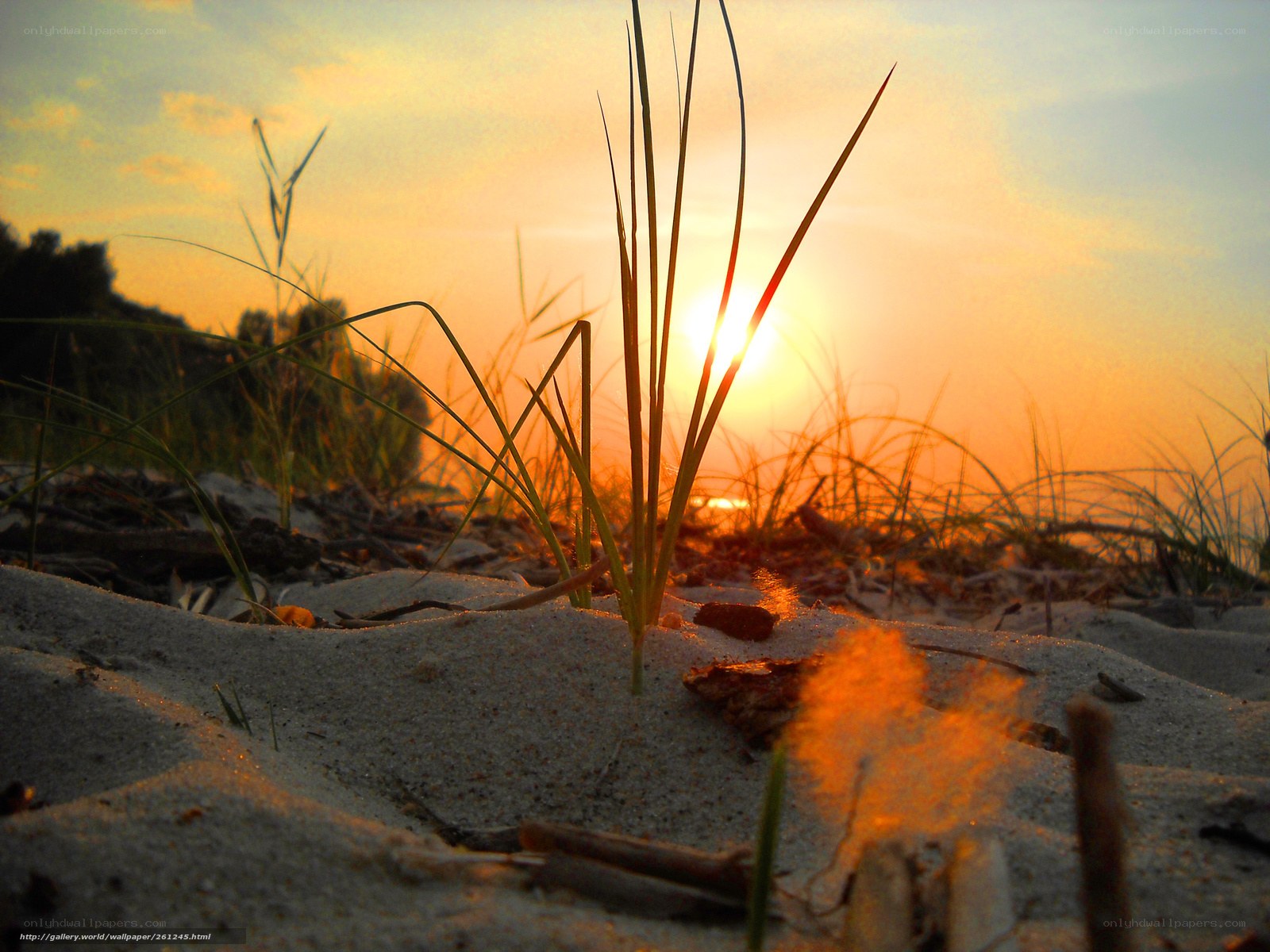 Sunset on the dunes
