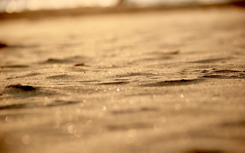 sunset on the sandy shore