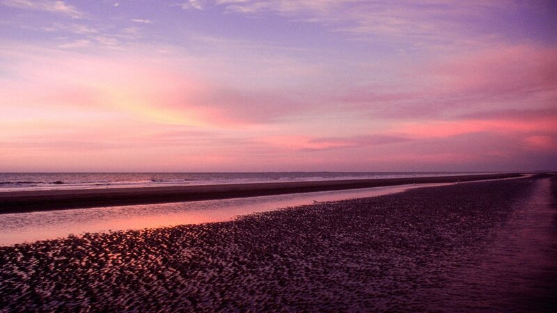 sunset over a beach