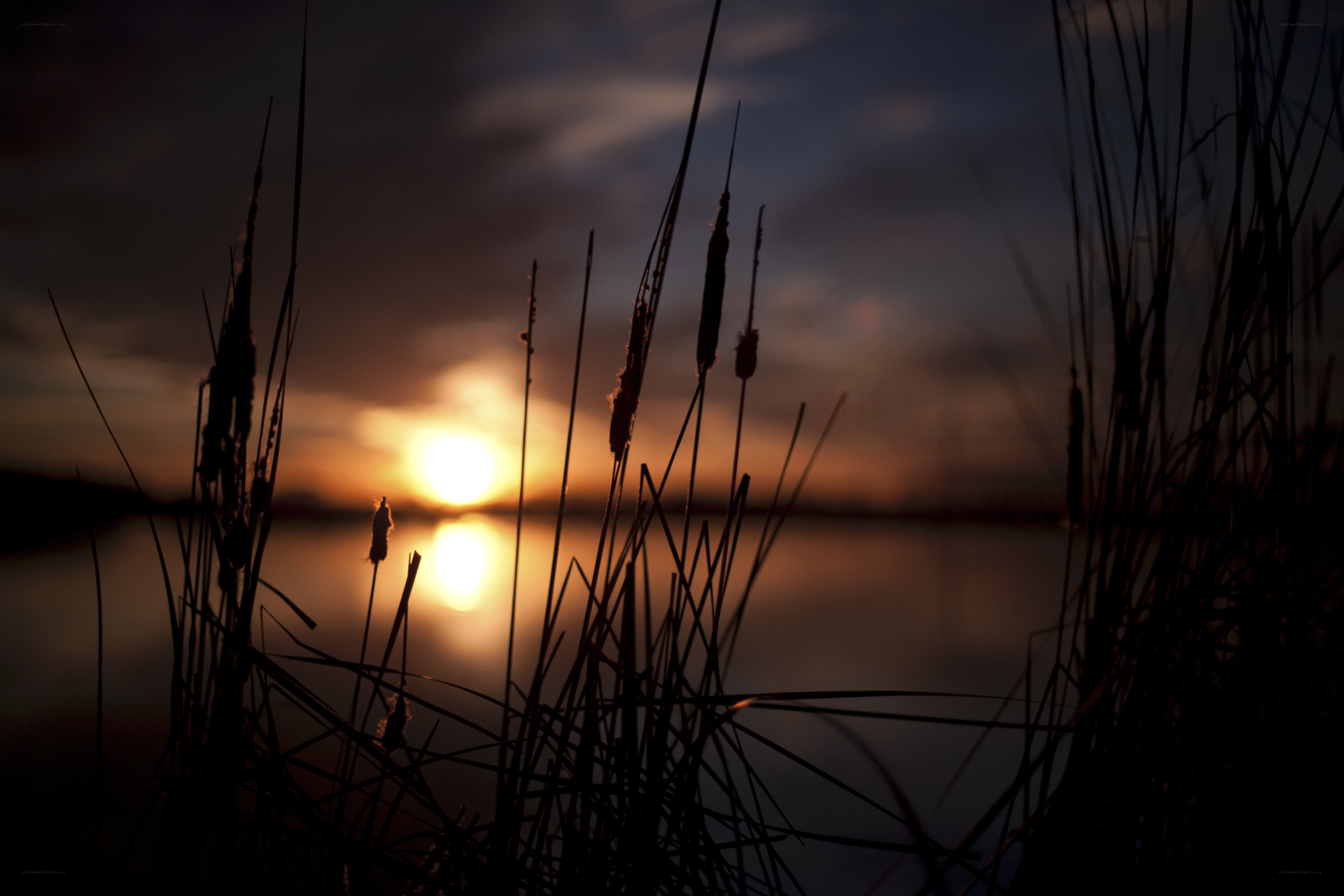 Sunset over a calm lake
