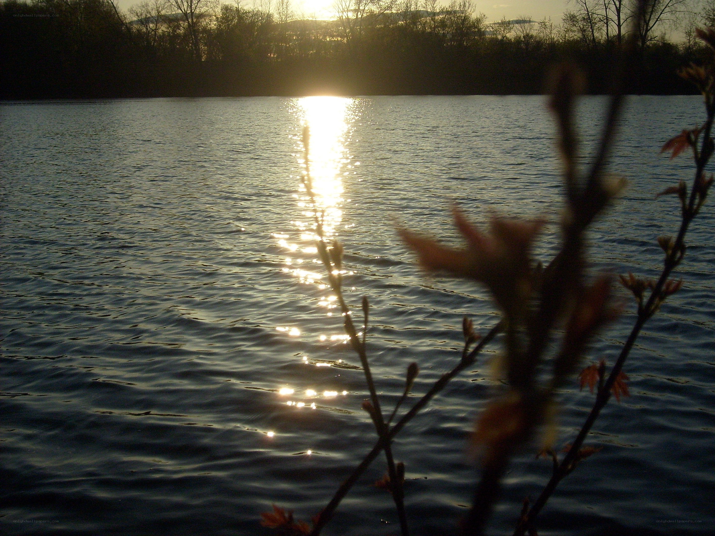 Sunset over a calm lake