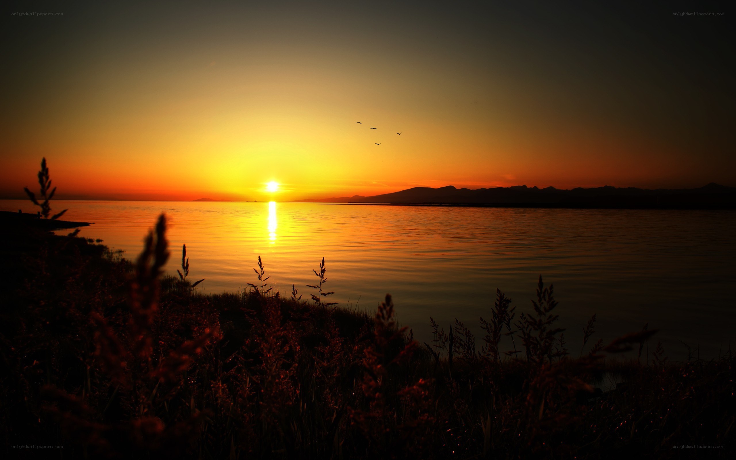 Sunset over a calm lake