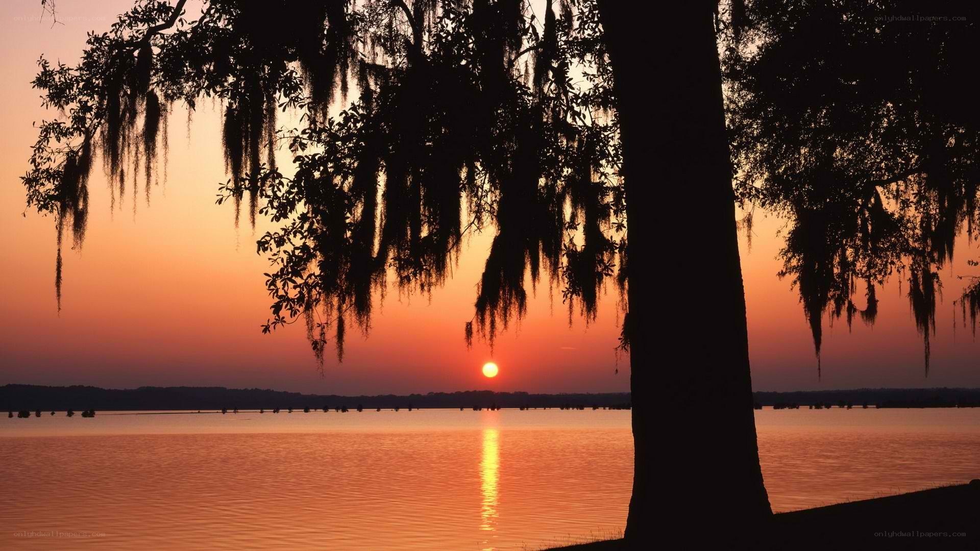 sunset over a calm lake