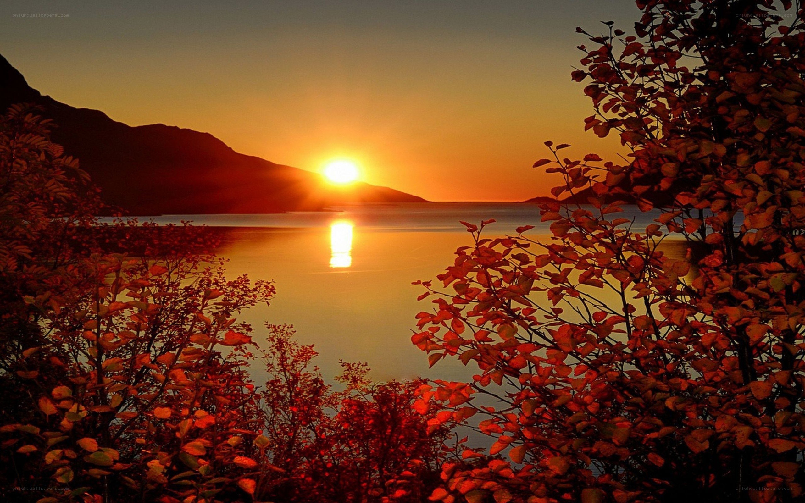 Sunset over a calm lake