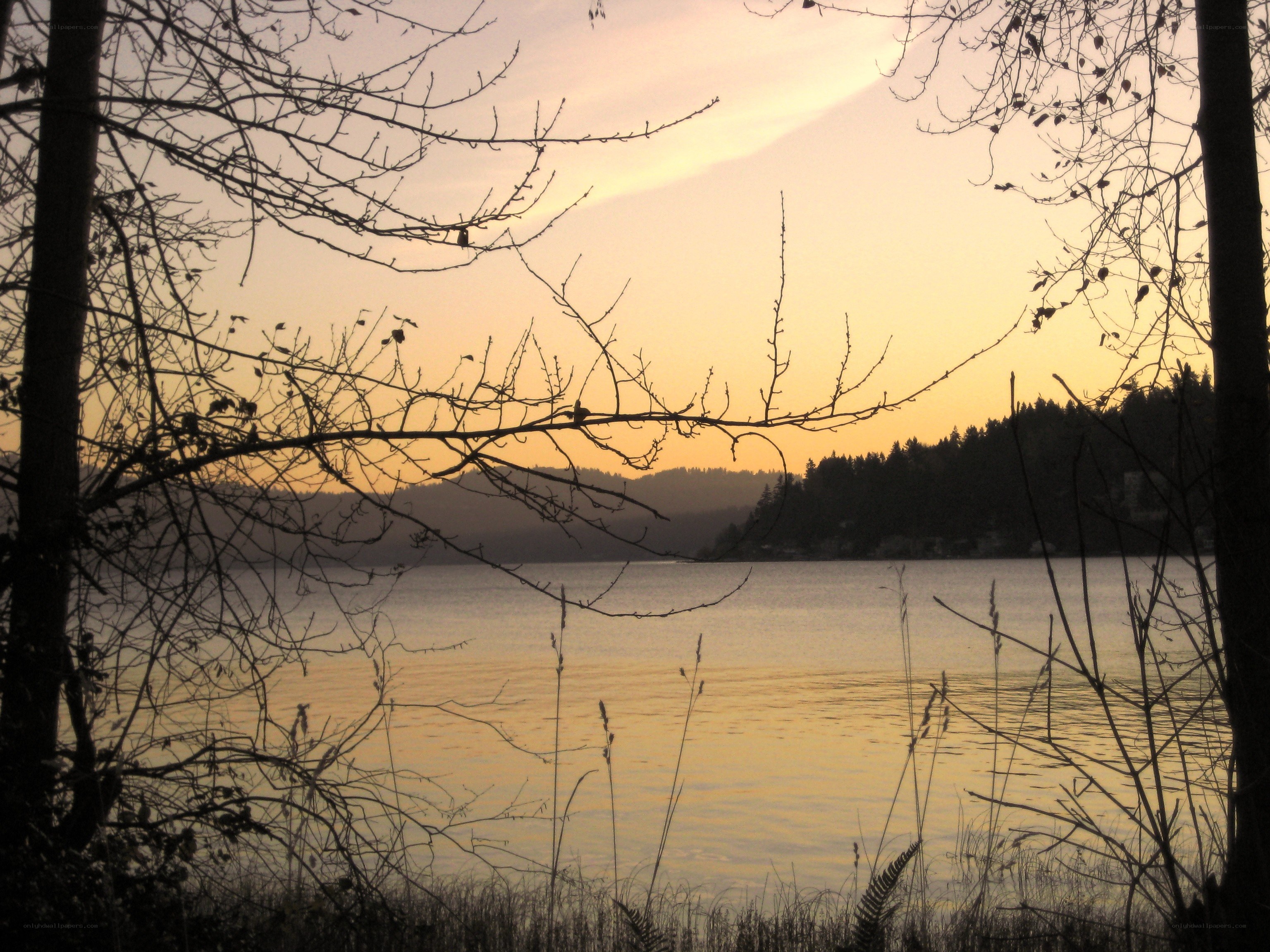 sunset over a calm lake