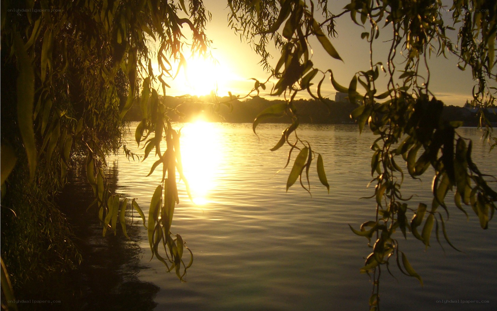 Sunset over a calm lake