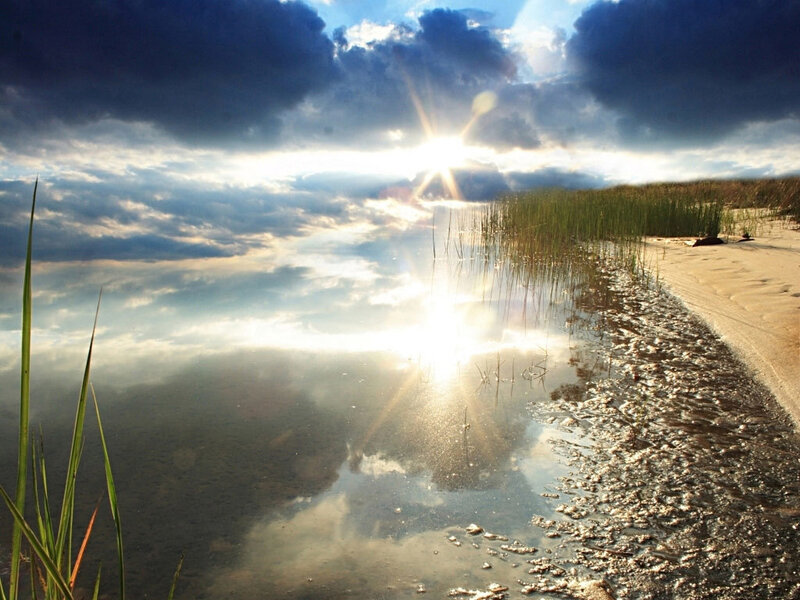 Sunset over a calm marsh