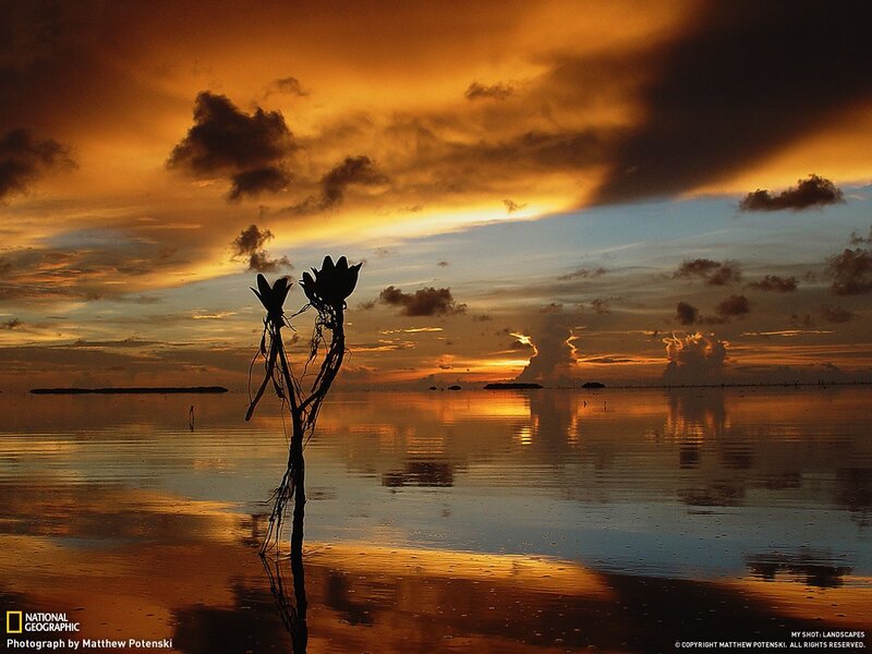 Sunset over a calm sea