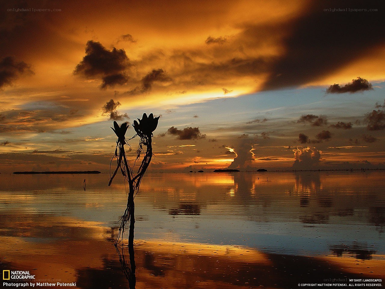 Sunset over a calm sea