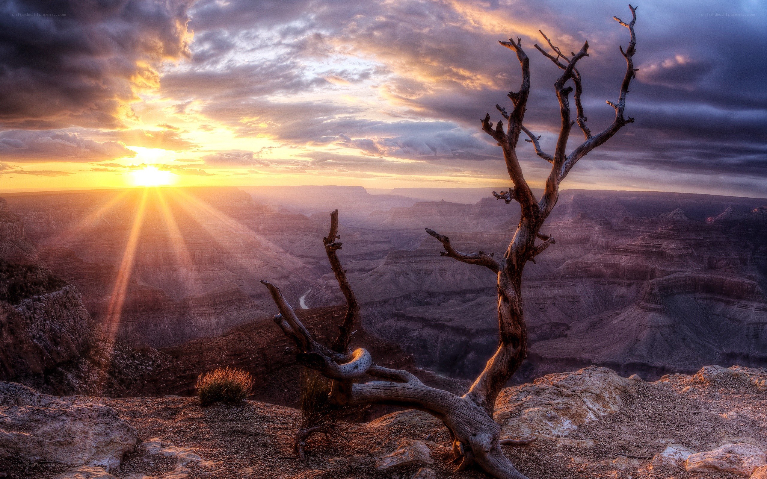 Sunset over a canyon
