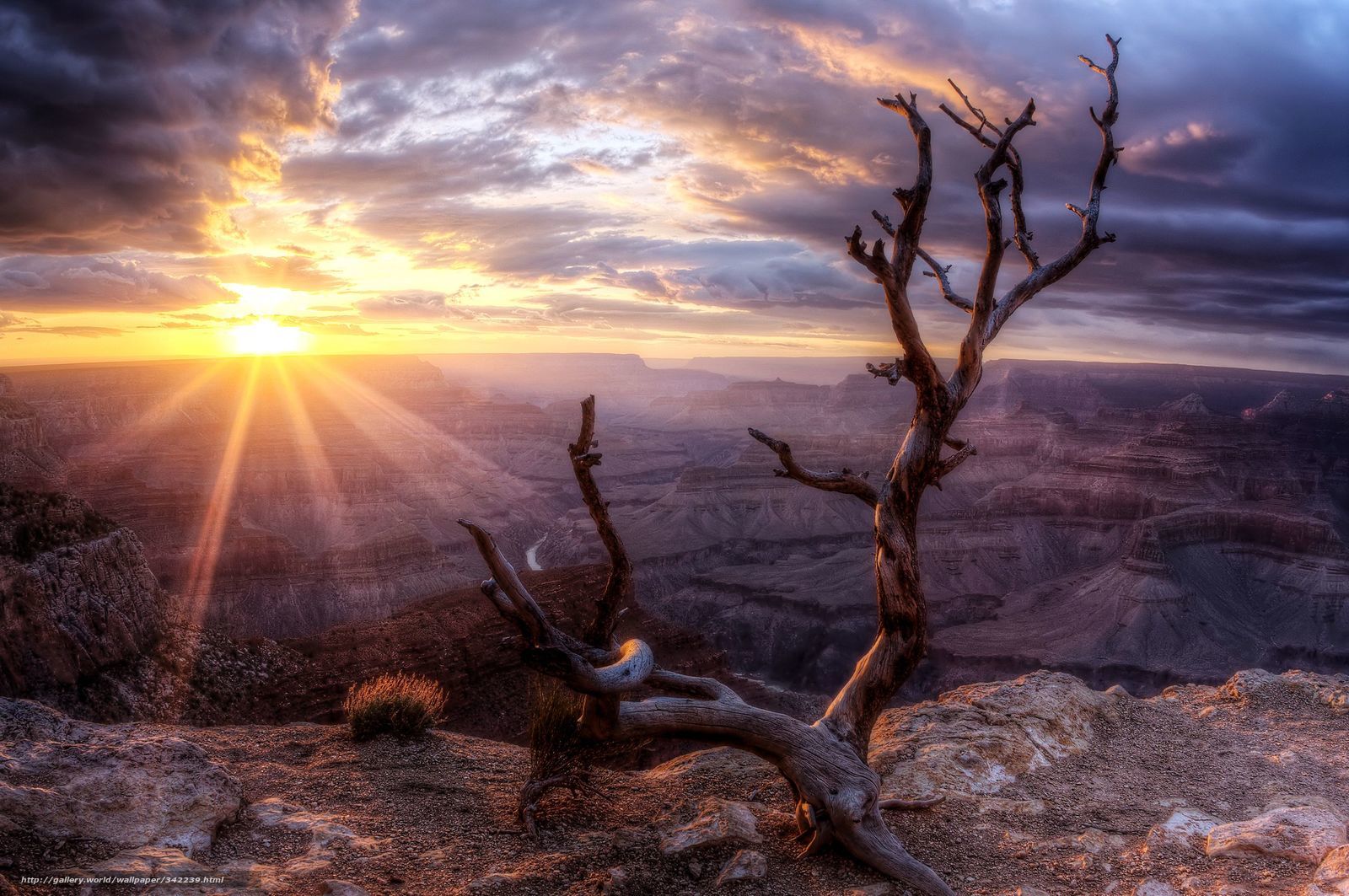 Sunset over a canyon landscape