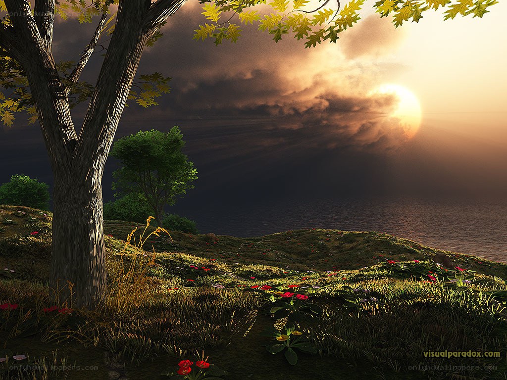 Sunset over a coastal hill