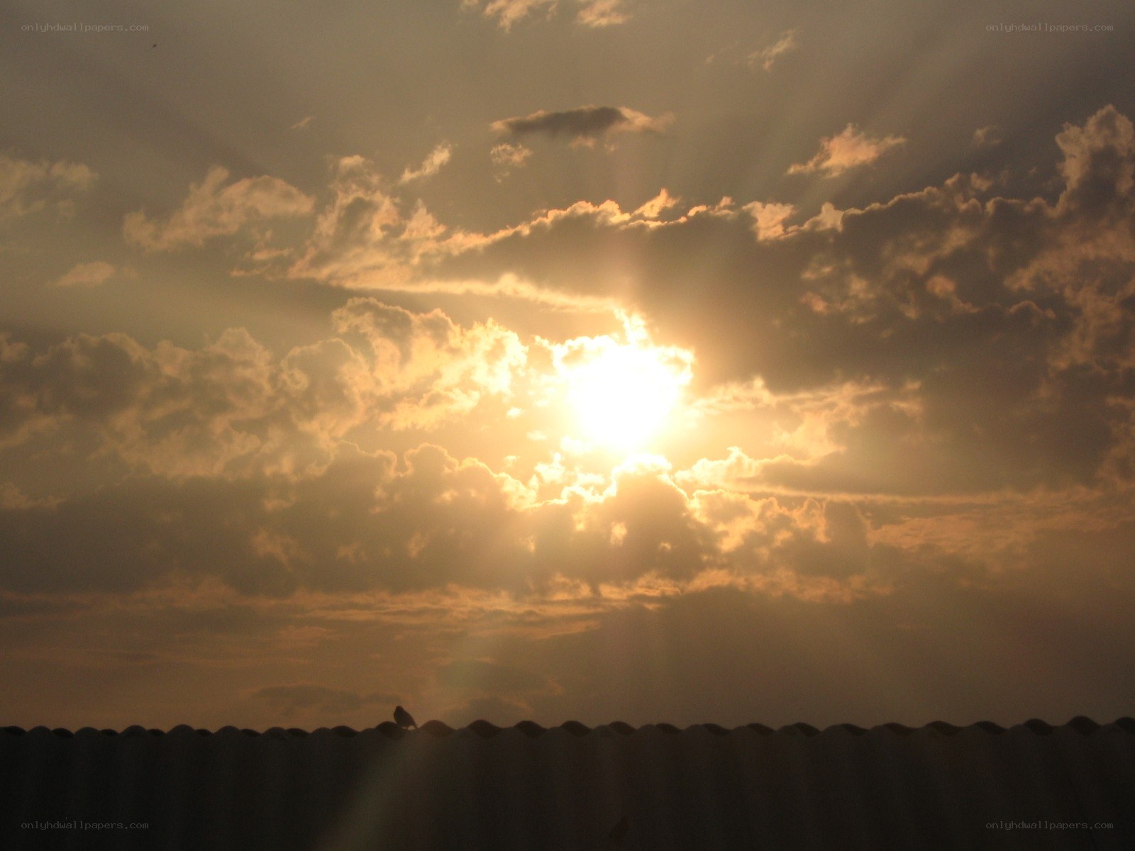 Sunset over a corrugated roof