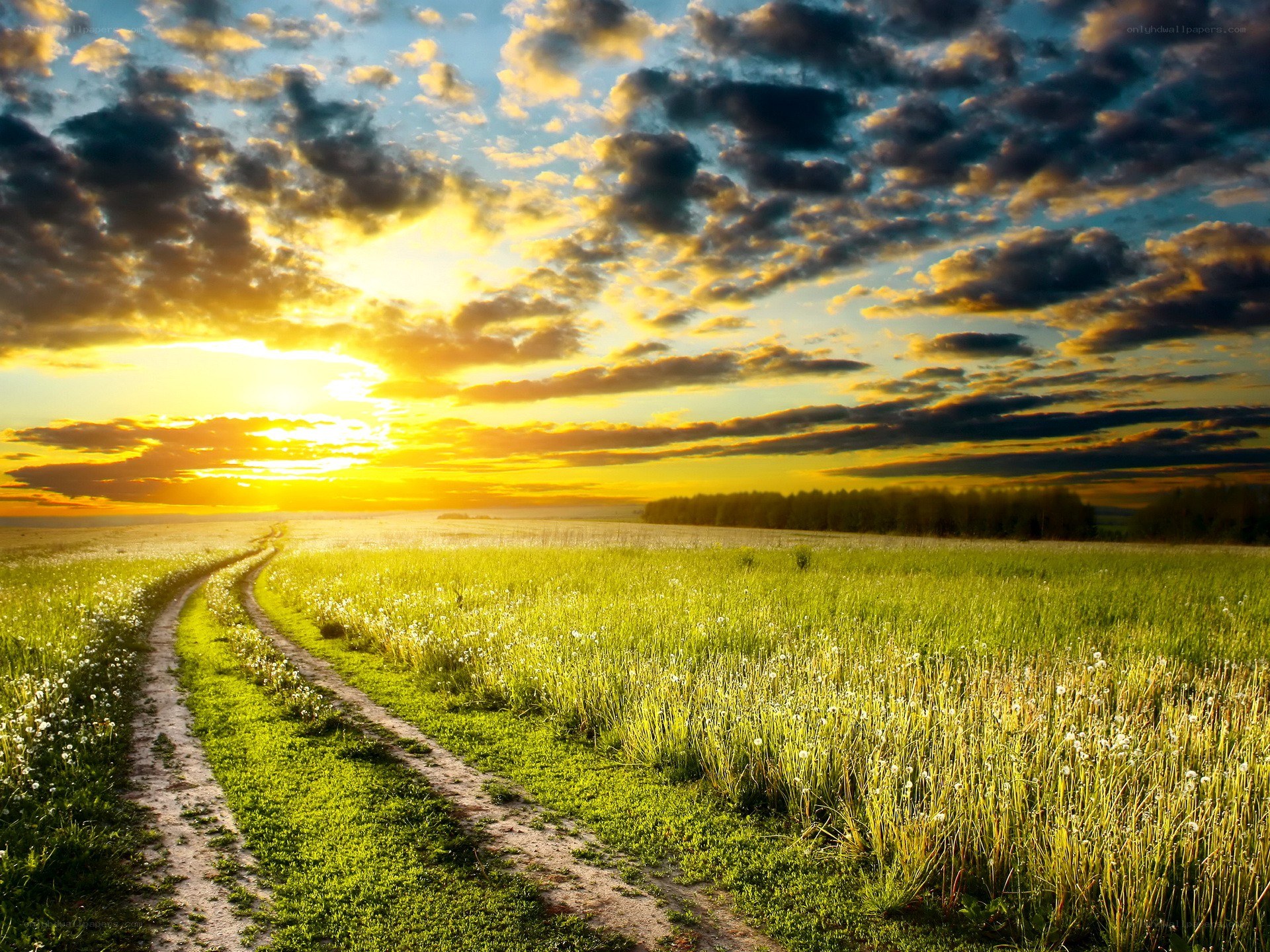 Sunset over a country path