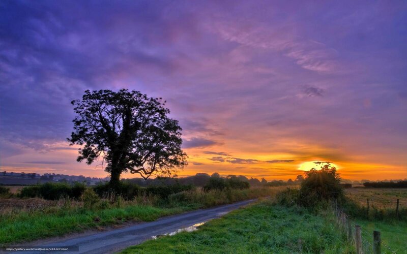 Sunset over a country road