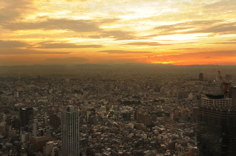 Sunset over a dense city