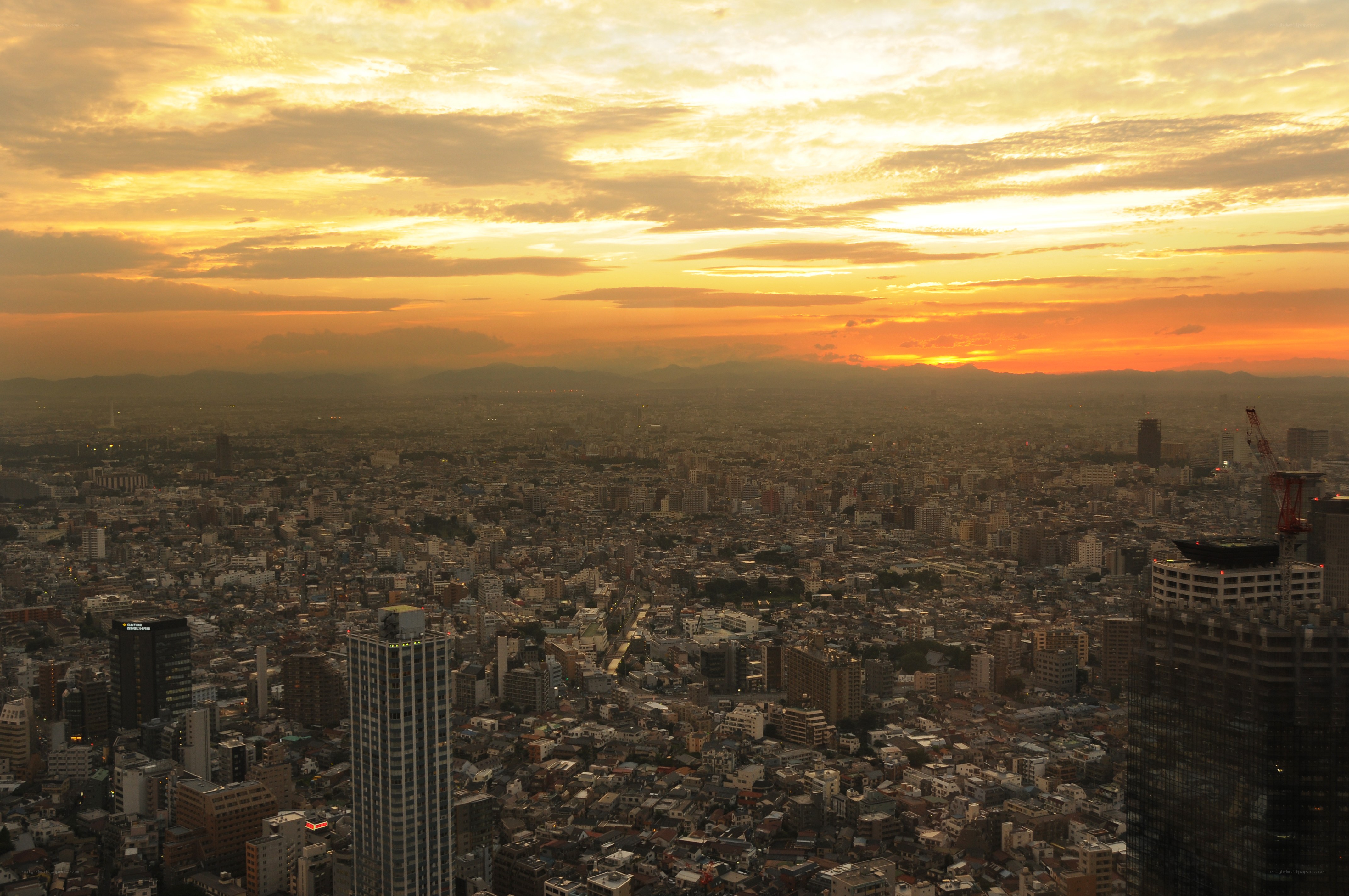 Sunset over a dense city
