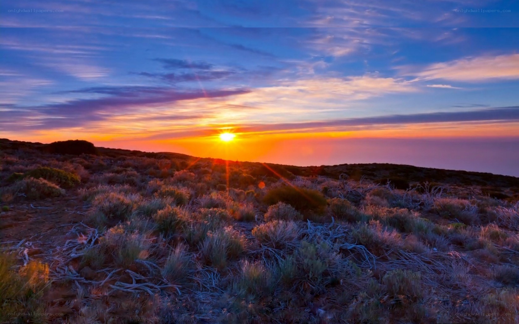 Sunset over a desert landscape