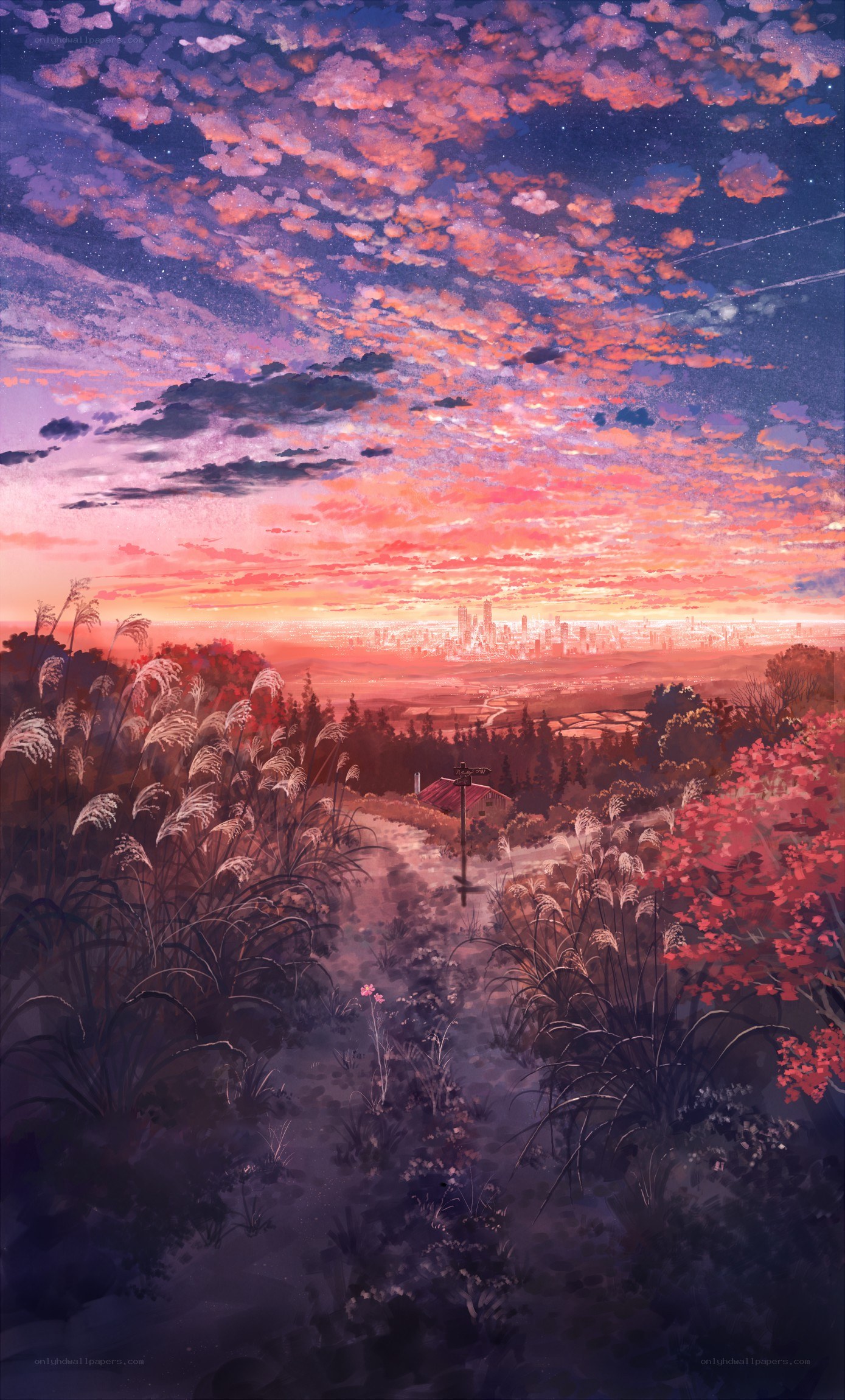 Sunset over a distant city
