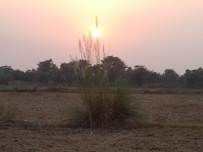 Sunset over a dry field