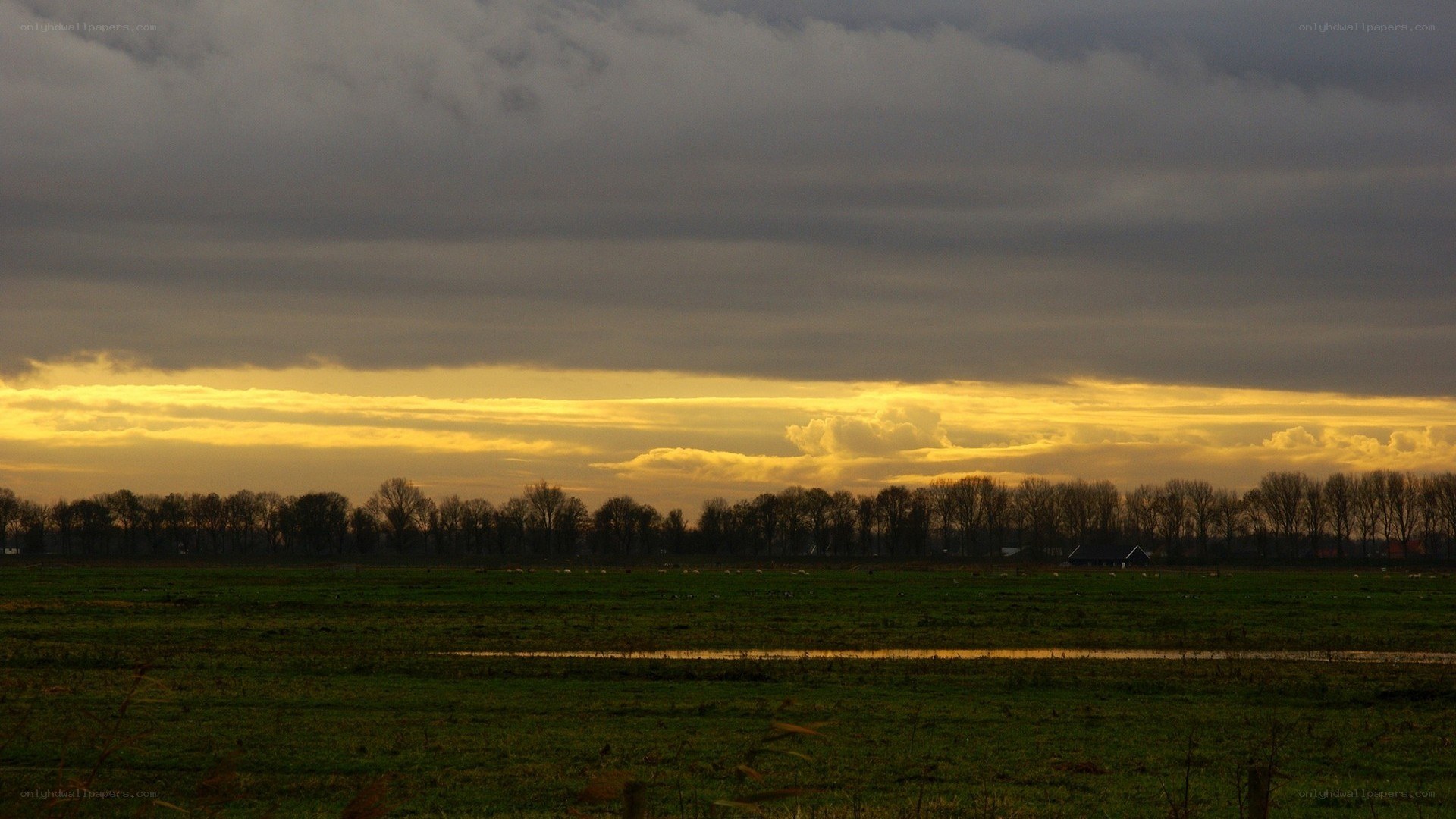 Sunset over a Dutch polder