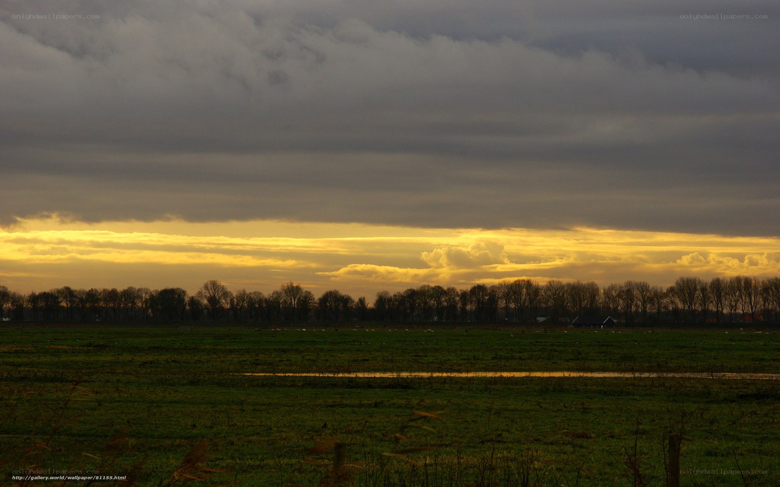 Sunset over a Dutch polder