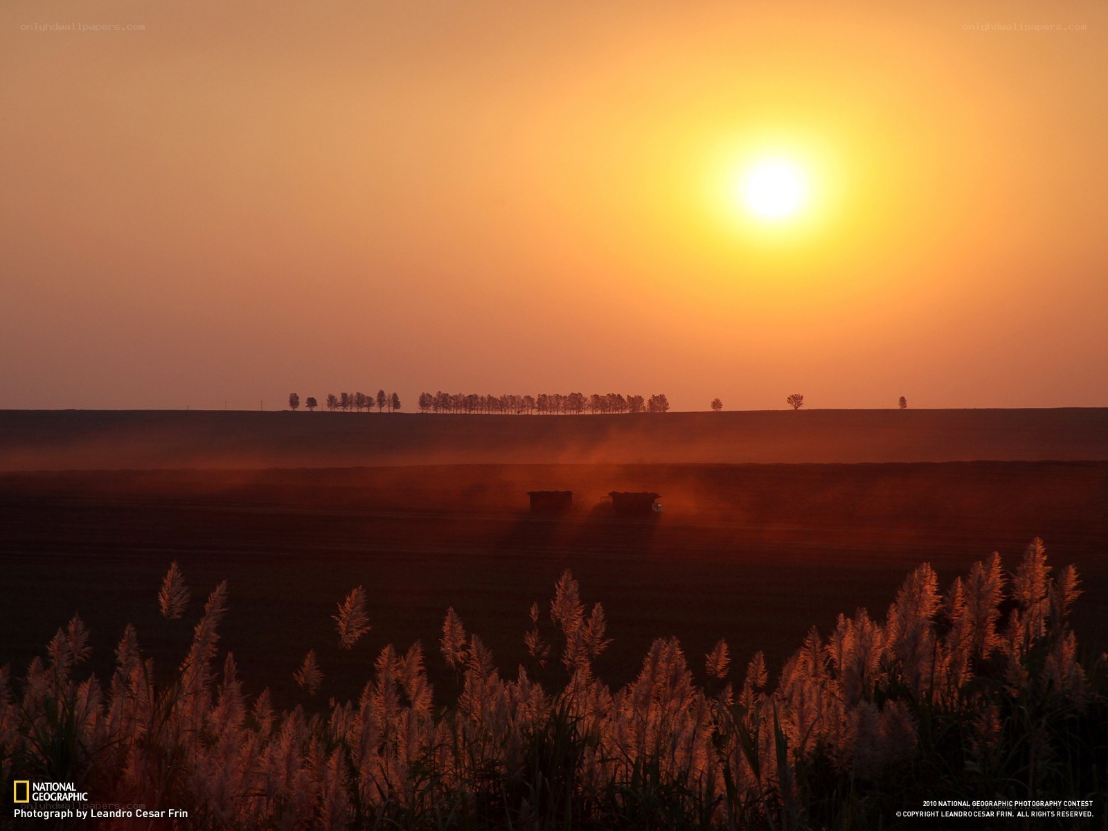 Sunset over a farming field