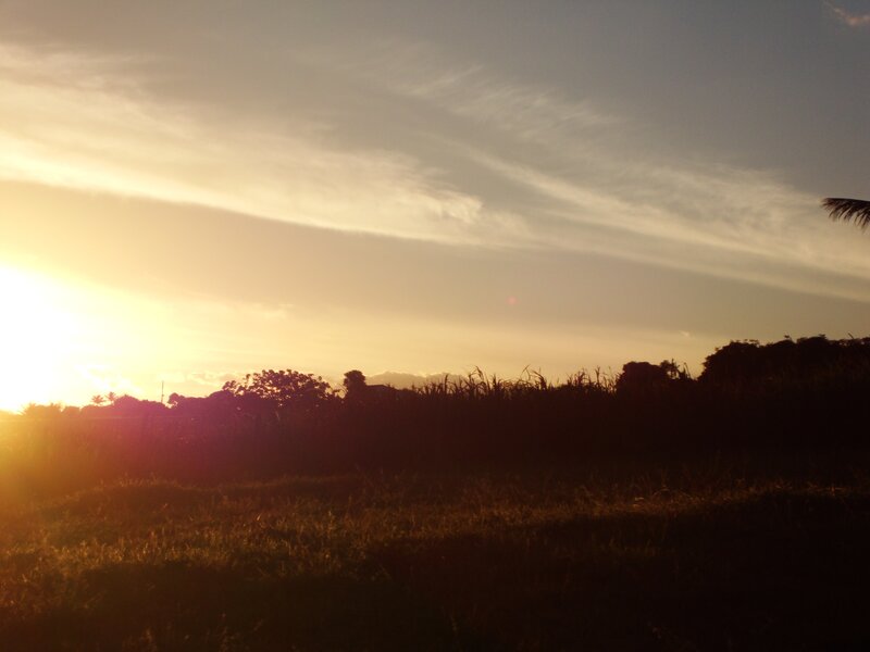 sunset over a field