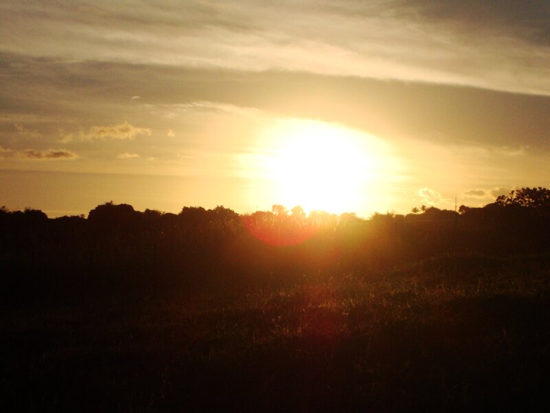 sunset over a field