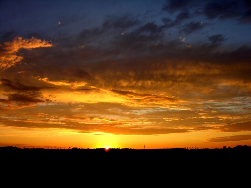 Sunset over a field