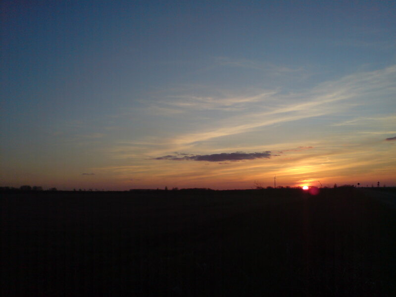 sunset over a field