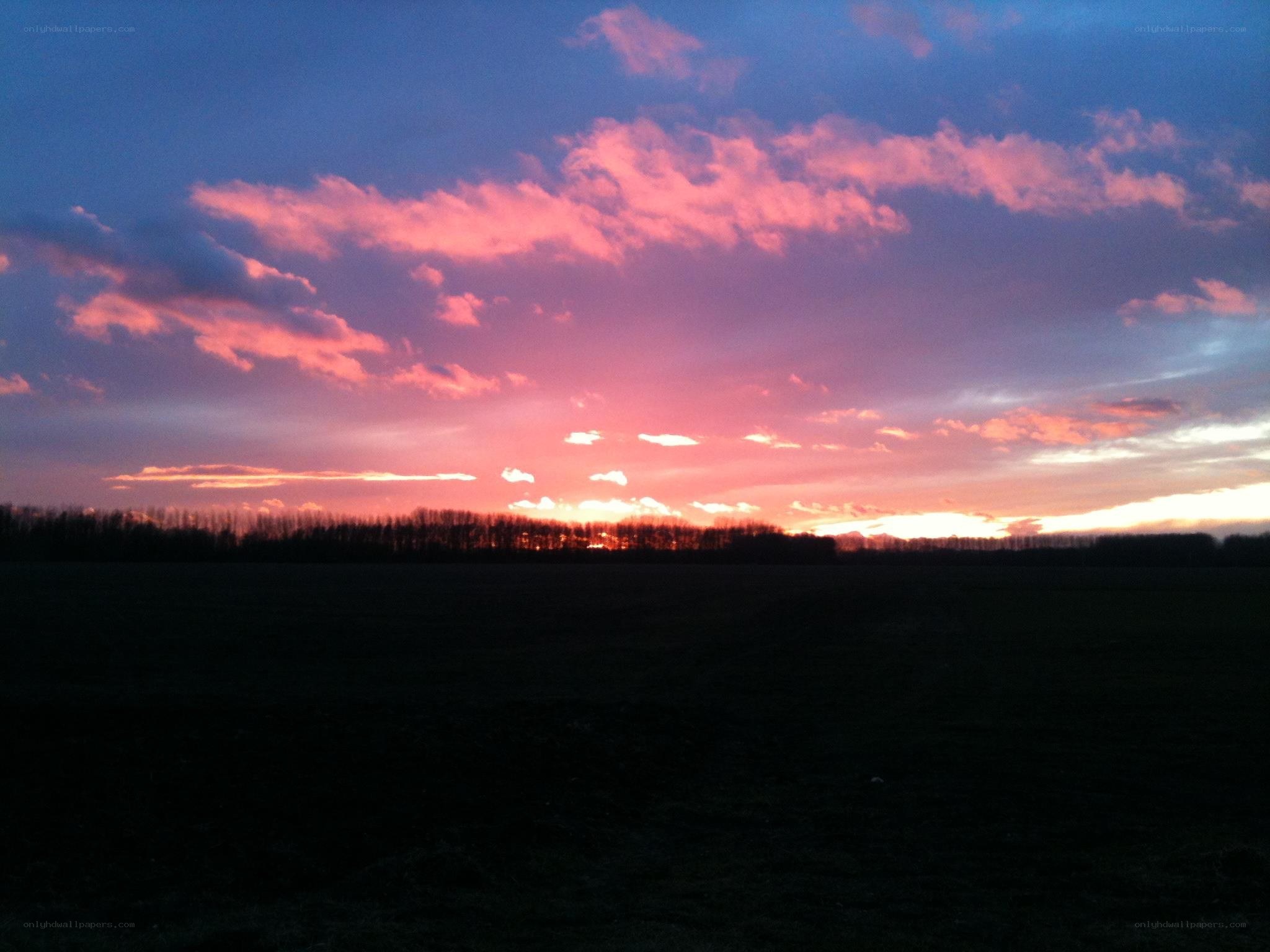 sunset over a field