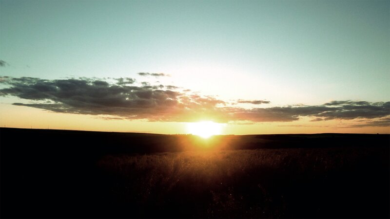 Sunset over a field