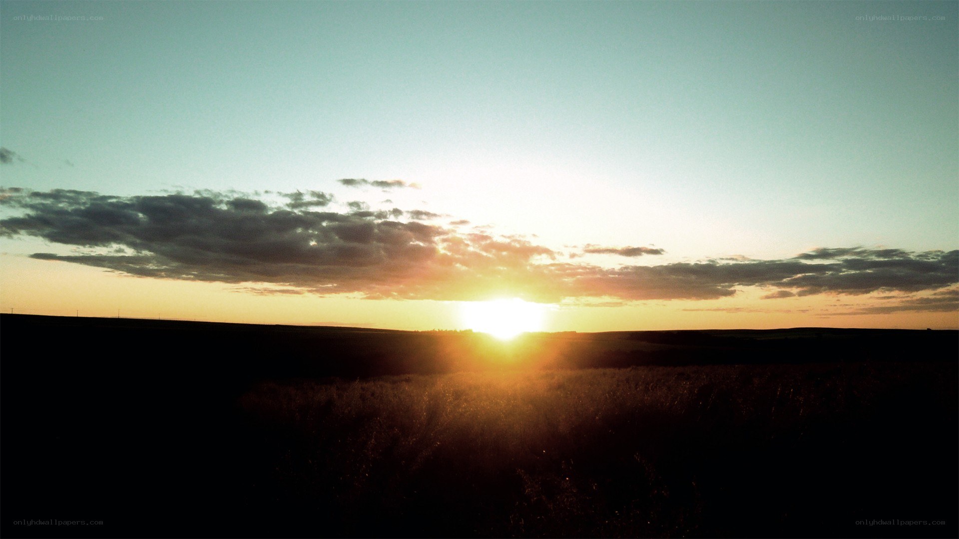 Sunset over a field