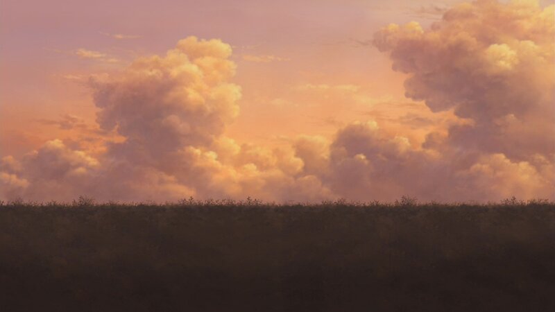 sunset over a field