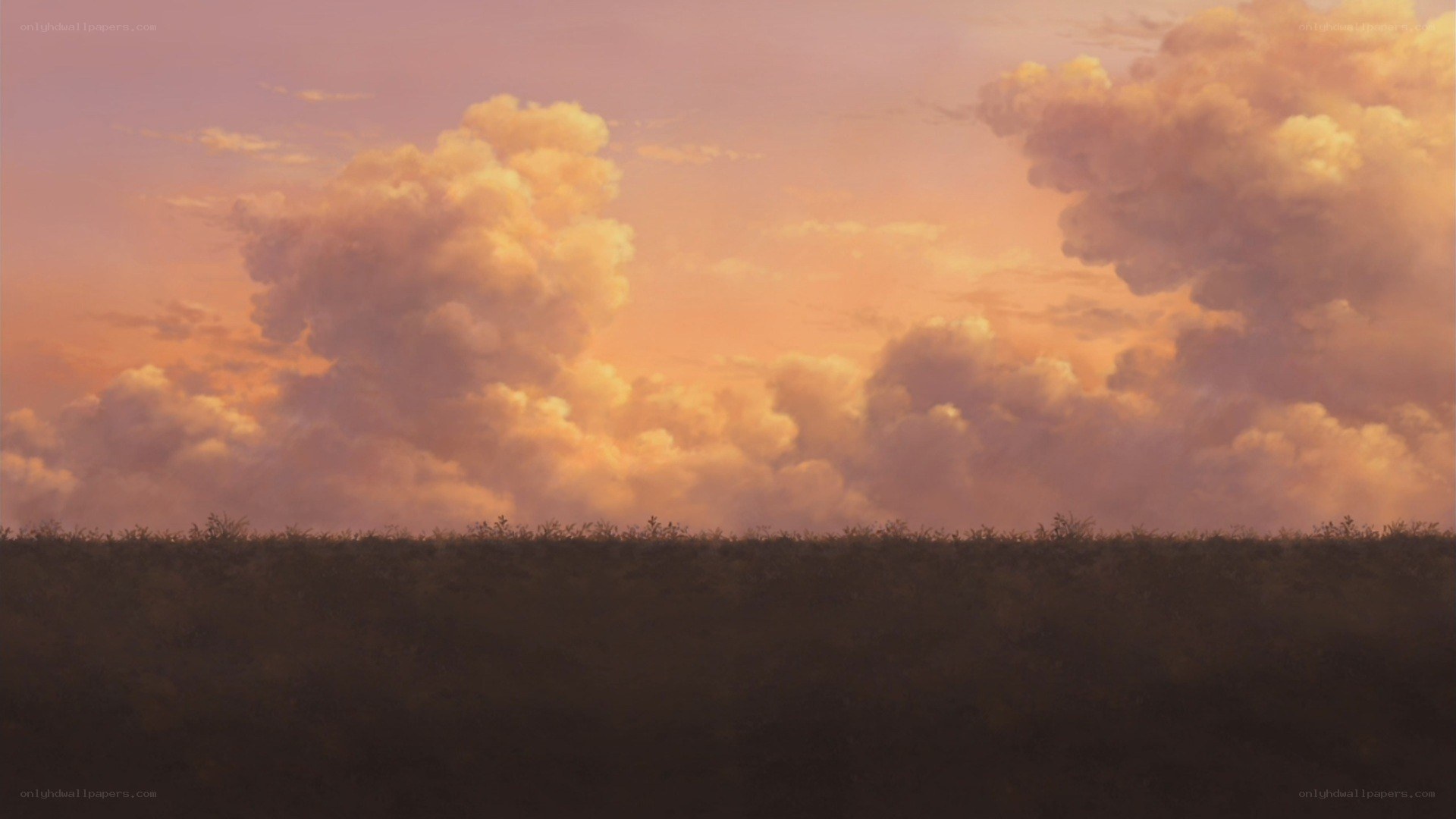 sunset over a field