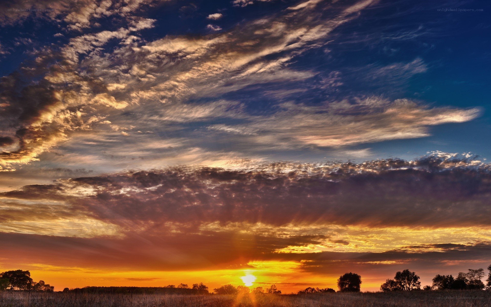 Sunset over a field