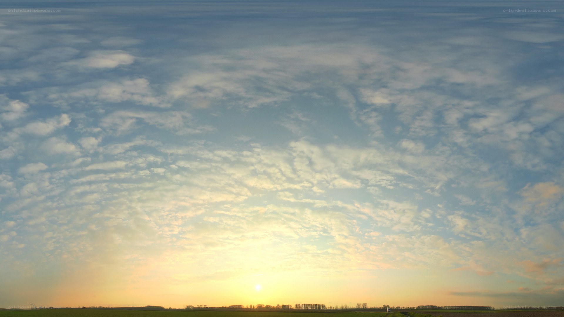Sunset over a field