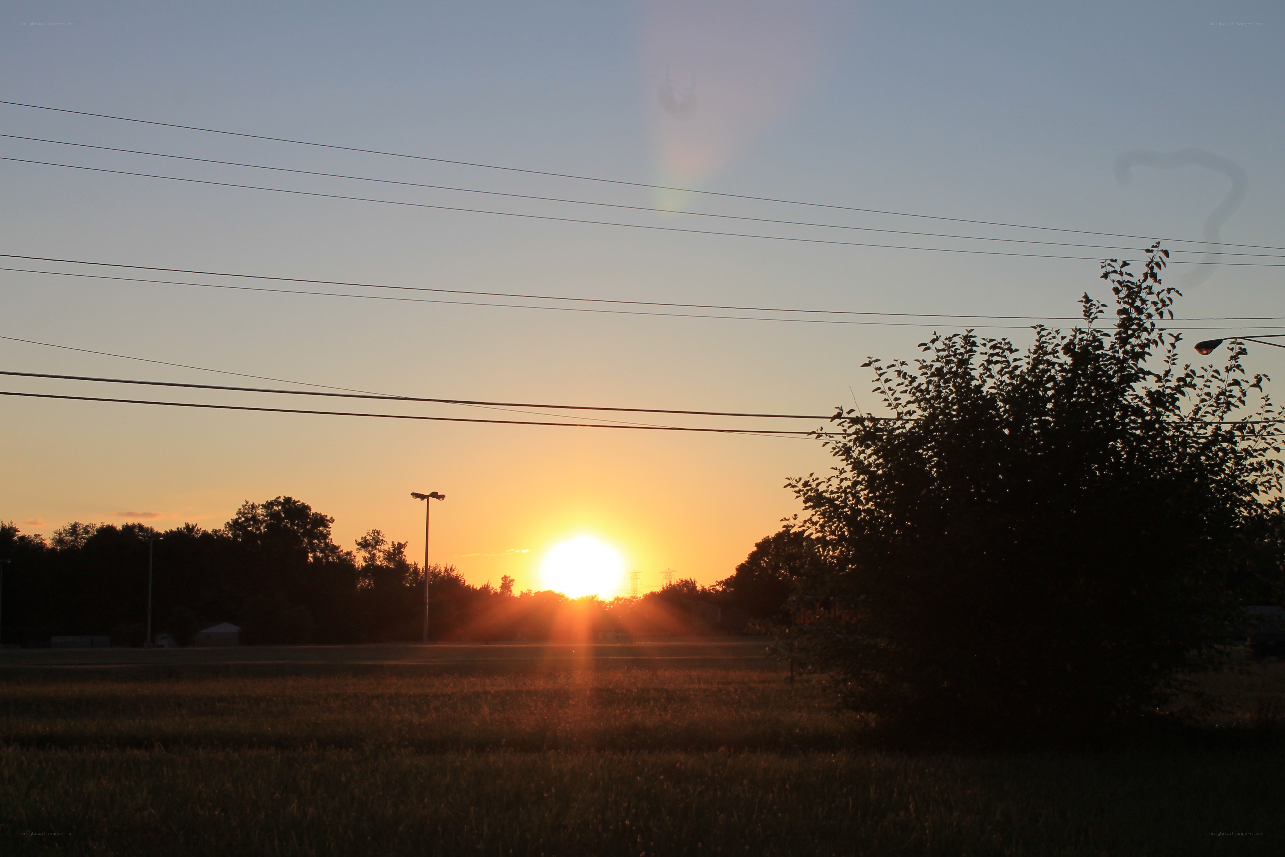 sunset over a field