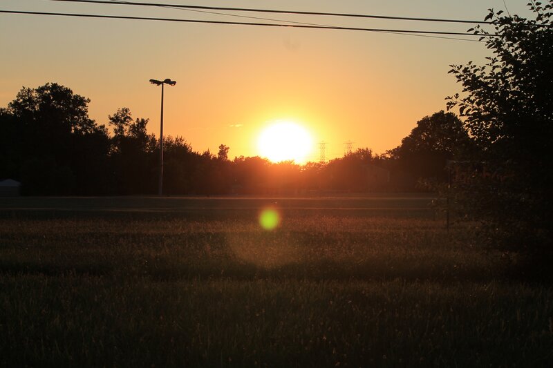 sunset over a field