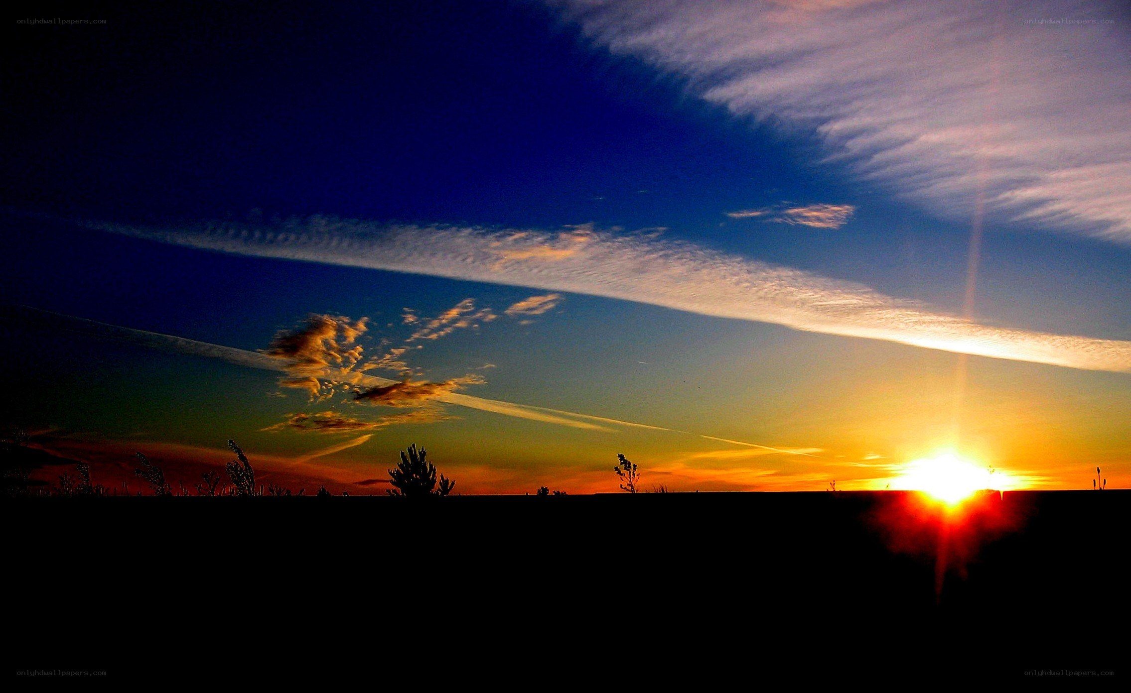 sunset over a field
