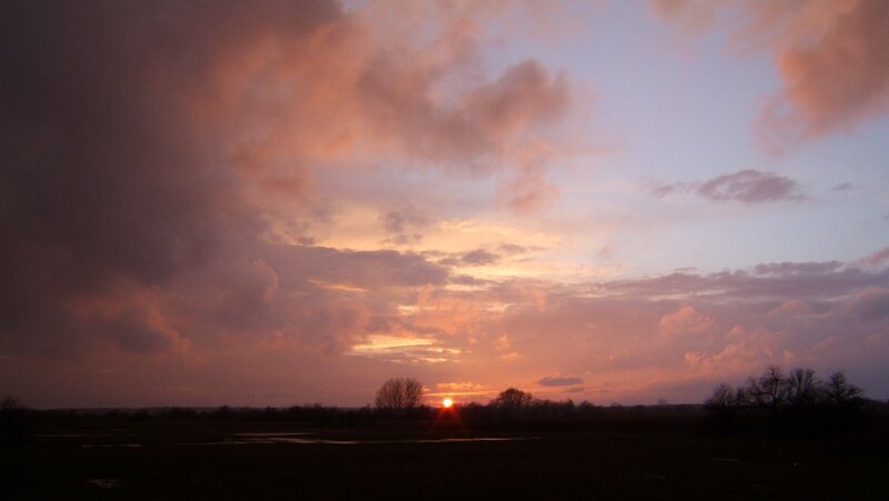 sunset over a field