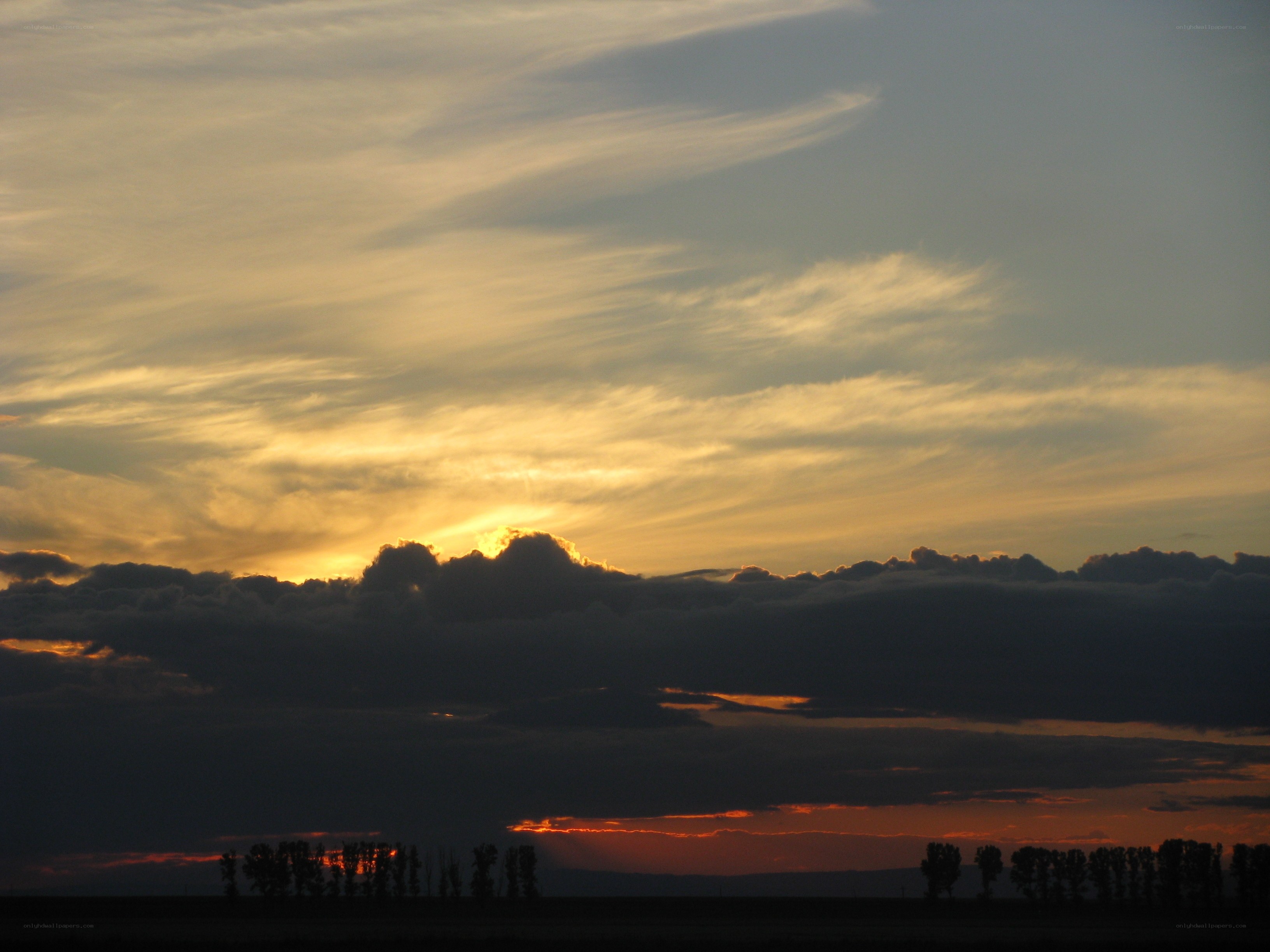 Sunset over a field