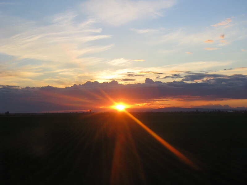 Sunset over a field