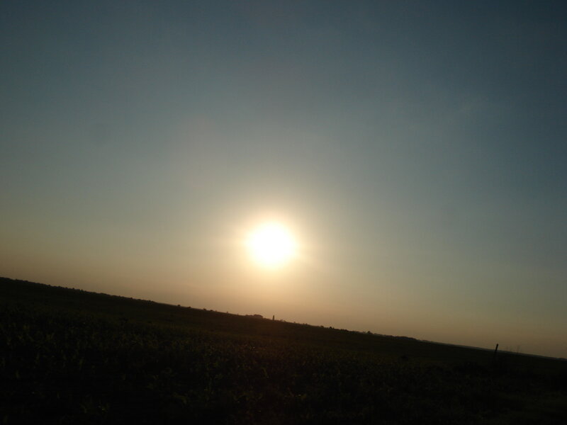 Sunset over a field