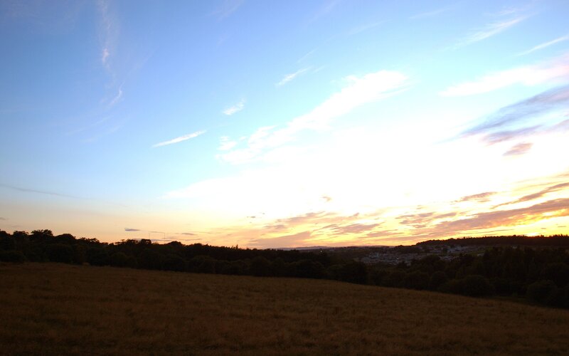 Sunset over a Field — Blue, Serene, Photograph, Trees, Sky