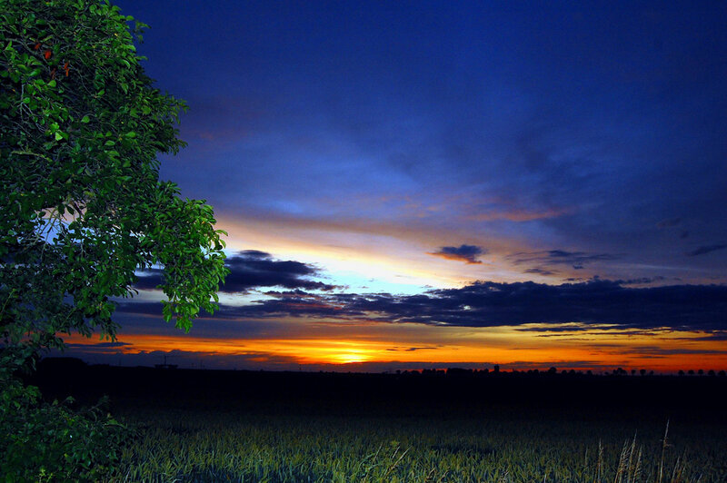 Sunset over a Field — Blue