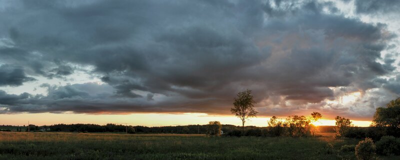 Sunset over a Field — Gray