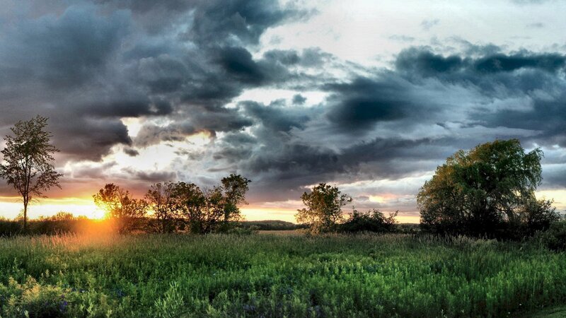 Sunset over a Field — Green, Dramatic, Photograph, Trees