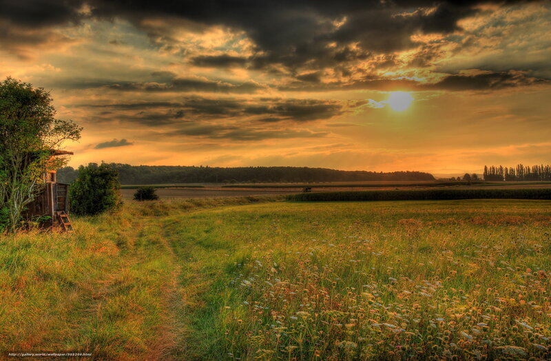 Sunset over a Field — Green, Dramatic